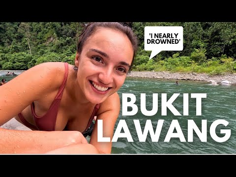 First Impressions of Bukit Lawang, Sumatra - Indonesia 🇮🇩