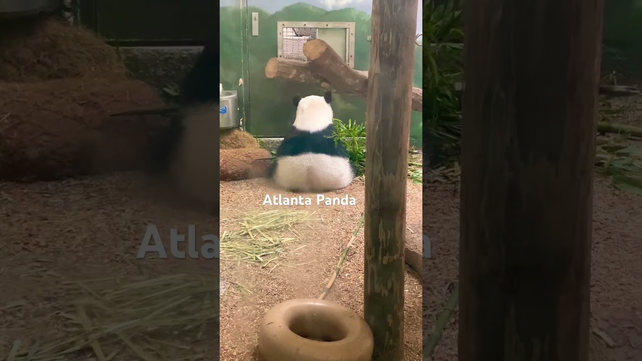 Look at those booty cheeks!