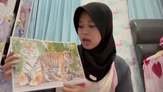 27. SALSABILA AURELIA PUTRI | REPORT TEXT | SUMATRAN TIGER