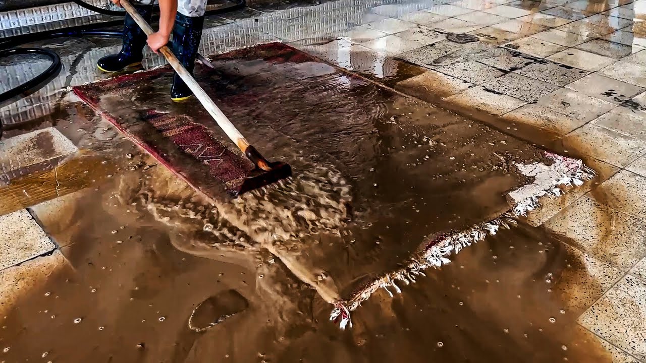 EPIC dirty carpet cleaning satisfying ASMR Rug Cleaning Daily carpet