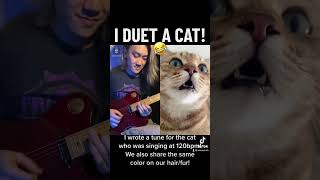 I DUET WITH A CAT! 😅 #cat #duet #jam #guitar #guitarist #guitarra #guitarsolo #telecaster