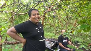 Floating guava Market at Borisha| Floating guava garden at Borishal | Vasoman Peyara Bagan|