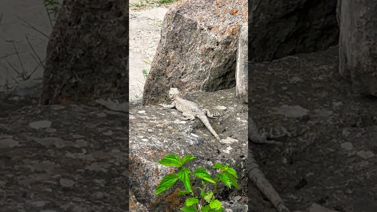 Армения 😍 Туры по Армении🤗Tours in Armenia🤗