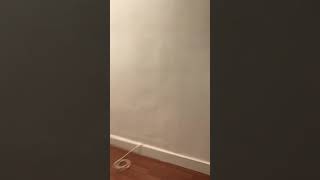 2S