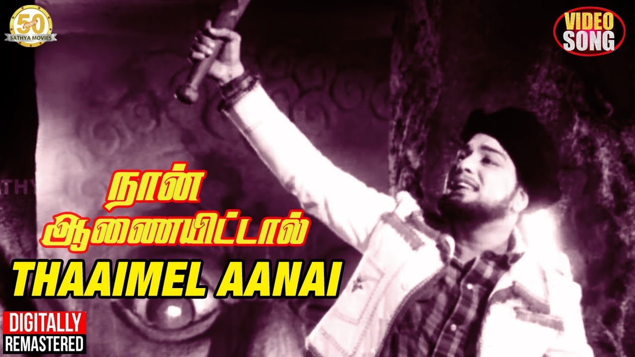 Naan Aanaiyittal Tamil Movie  Thaaimel Aanai Video song  MGR  TMS  Vaali  MSV  Sathya Movies