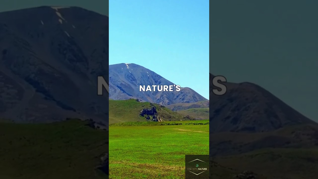 Breath Taking Mountain Range! | Southern Alps 