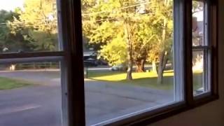 18 kavanaugh dr video tour