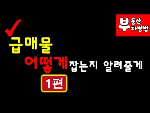 법인대출