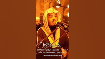 سورة الإنسان - ياسر الدوسري #سورة_الإنسان #ياسر_الدوسري #قرآن #القرآن_الكريم #القرآن
