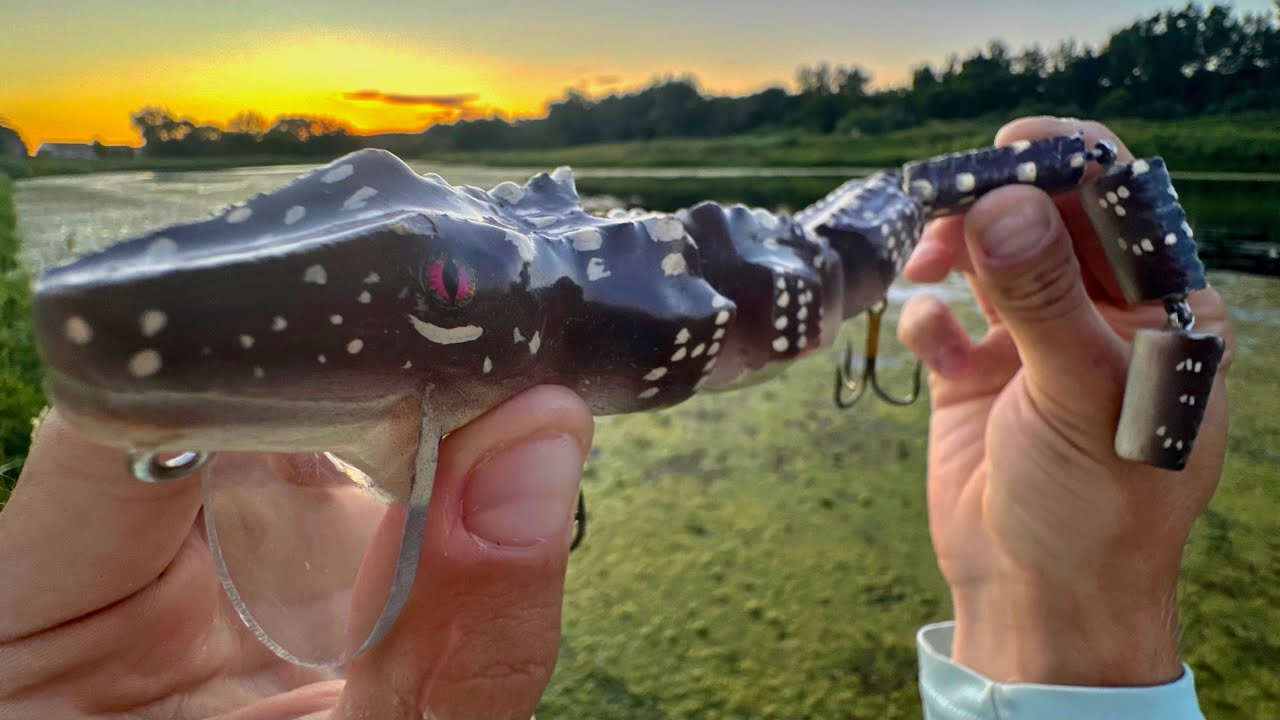 Do Bass Eat Baby Alligators?