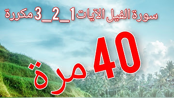 سورة الفيل من الآية 1 إلى الآية 3 مكررة 40 مرة