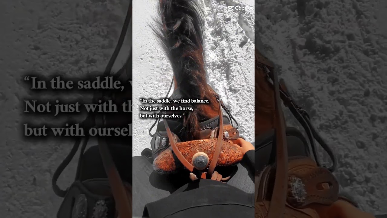 the saddle is the place that brings the most comfort 