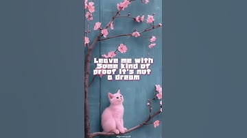 The Only Exception - Paramore #paramore #theonlyexception #music #lyrics #song #shorts #pop #love