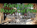 Framing with Rough Cut Pine - Building a House from Trees SE4 EP12