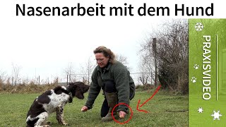 Nasenarbeit Hund ️ Nasenarbeit für Hunde ️ Praxisvideo ️