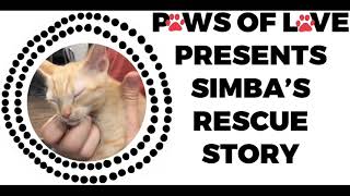 Simba’s Rescue Story