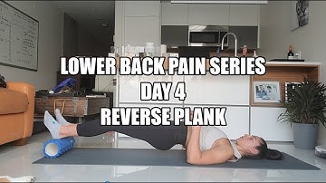 Lower Back Pain Series: Day 4 Reverse Plank