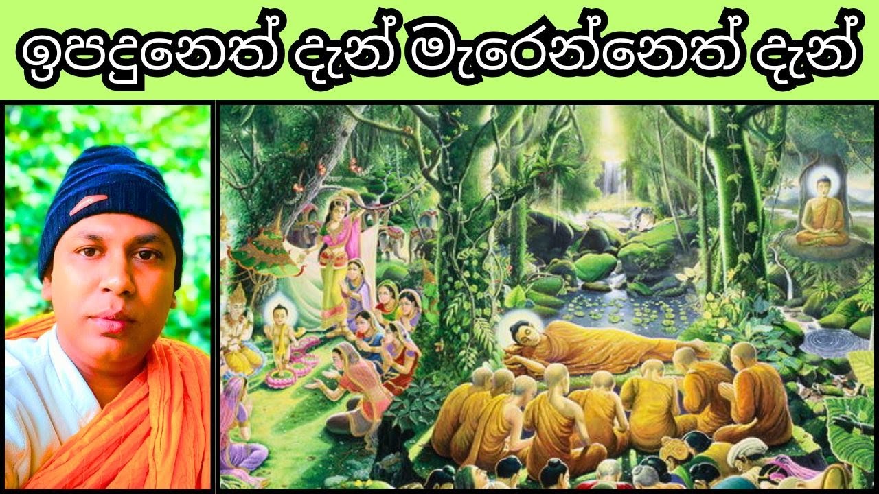 මව්කුසෙන් නොඉපදුණු ළදරුවා