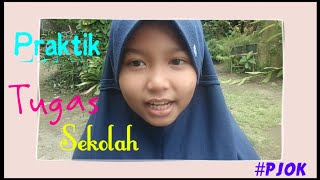 Praktik Olahraga Tugas Sekolah