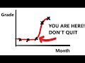 Effective Revision Strategies Quiz