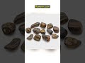 african stones | bag of 12 medium african tumble stones