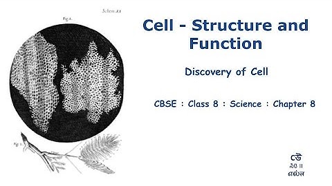 Class 8- Science-Chapter 8 – Cell : Structure And Function -Part01- Discovery  #NCERT #Kannada