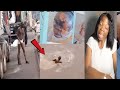 BOTALA AB0MI MWASI PONA ZUWA AKUFI PONA MBISI PORT MATADI ESCROQUERIE BOYOKA MAKAMBU BOTALA AB0MI MWASI PONA ZUWA AKUFI PONA MBISI PORT MATADI ESCROQUERIE BOYOKA MAKAMBU