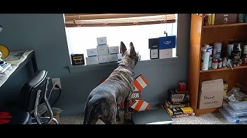 Seiko SKX007 MOD trying my hand at this modding shenanigans