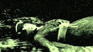 Fatal Frame Sizzle Reel