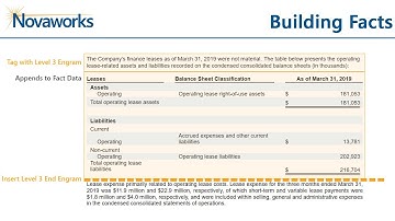 Tagging the Notes to Financials: Level 3 (Mark Level 3)
