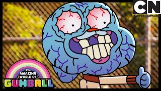 The Loser In The Grand Sitcom Of Our Lives | Gumball | Cartoon Network