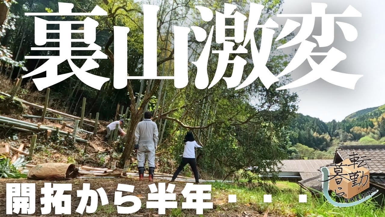 【ビフォーアフター】田舎暮らし半年荒れ果てた裏山を夫が開拓！激変した庭(？)に超強力助っ人が木を切りに来てくれた！！【＃１６】