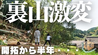 【ビフォーアフター】田舎暮らし半年荒れ果てた裏山を夫が開拓激変した庭()に超強力助っ人が木を切りに来てくれた【】