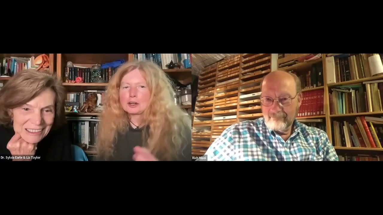 Echinoderm expert joins Dive In with Liz and Sylvia