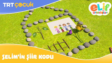Elif ve Arkadaşları | Selim