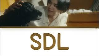 [THAISUB/ซับไทย] SDL - Agust D #ไซคีซับ