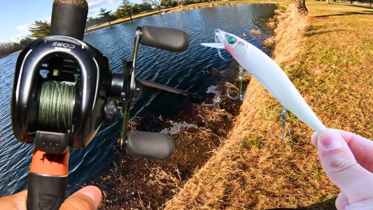 Fishing Shallow for GIANT Winter Bass!