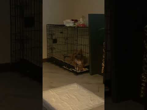 Мама наказала #баха#стафф - YouTube