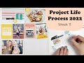 Project Life Process 2022- Week 11