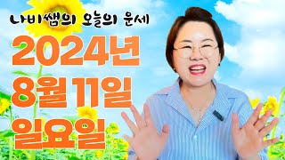 2024년 8월 11일 (일) 나비쌤의 오늘의 운세  종합운/연애운/금전운/행운의컬러/띠별운세/타로카드/사주…