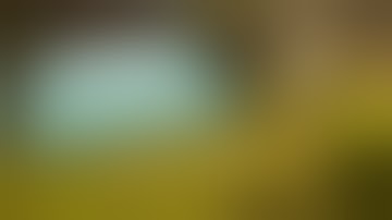 Sons of the Forest: 21 Tips & Tricks for Surviving