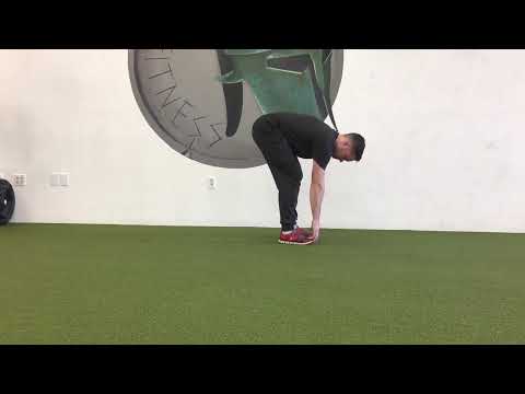Bootstrap Squat