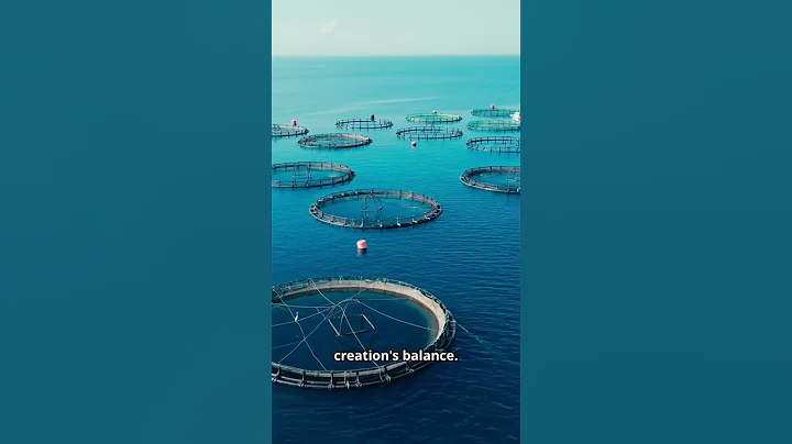 AI Leads the Fisheries Revolution: The Future of Smart Aquaculture