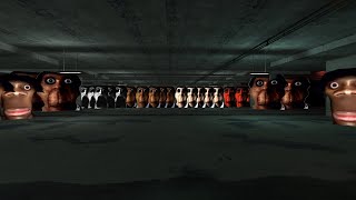 OBUNGA APOCALYPSE