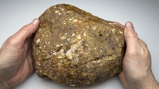 Slabbing a Most Unusual Rock from Terlingua - Agate? Profile