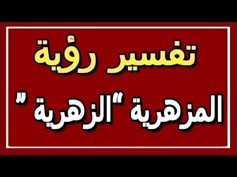 فيديو: جولة طاولة طعام الأسرة