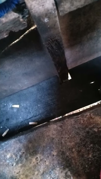 Telkomsel penjilat babi anjing