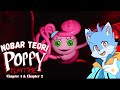Mari Kita Ungkap Semua Misteri Di Playtime Co !!!
