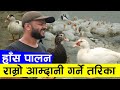         ducks farming in nepalhas palan in nepal