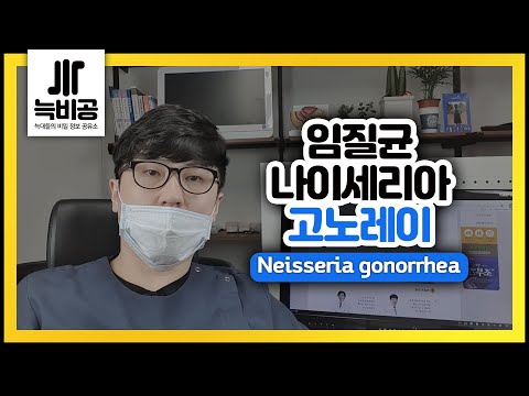 성병-임질(Neisseria gonorrhoeae)은 어떤균인지??